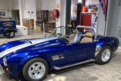 Cobra.andrew-2