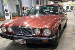 red-jaguar